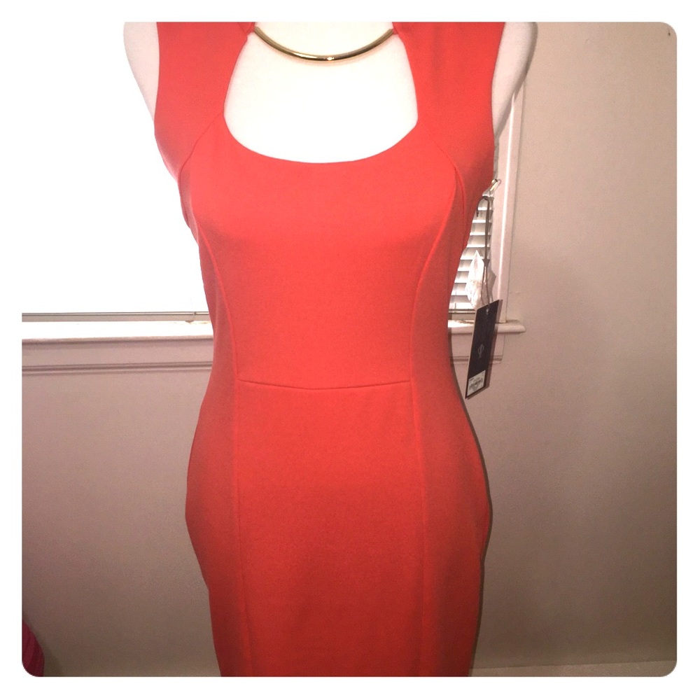 NWT Jennifer Lopez Dress